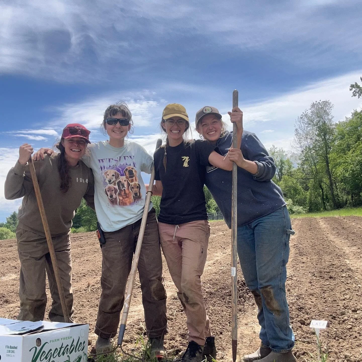 Flower Team slay! 💜💐

Over the past two weeks, the Flower Team (and some special guests) planted over 5500 dahlia tubers. These beauties will flower in the fall and bring so much joy to our farm. 

Thank you to all the folks that purchased dahlia t