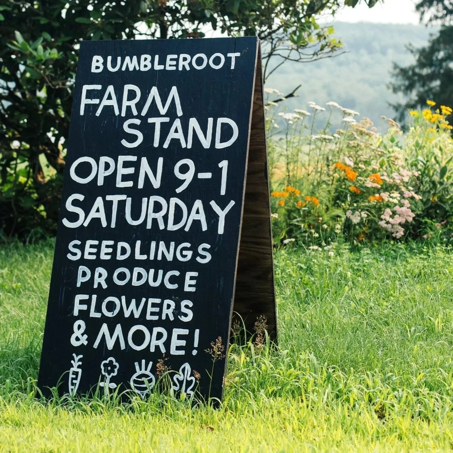 Farmstand sign on green grass