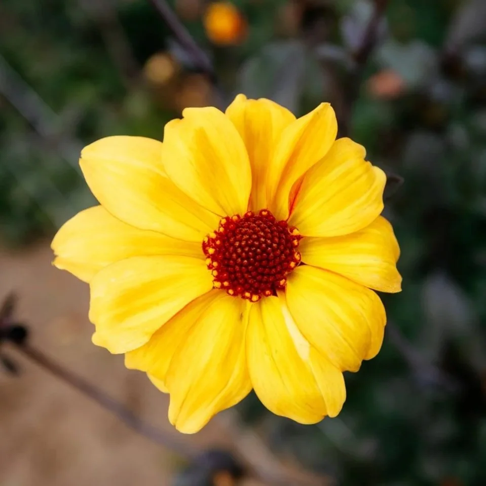 2O9A7109.jpg
