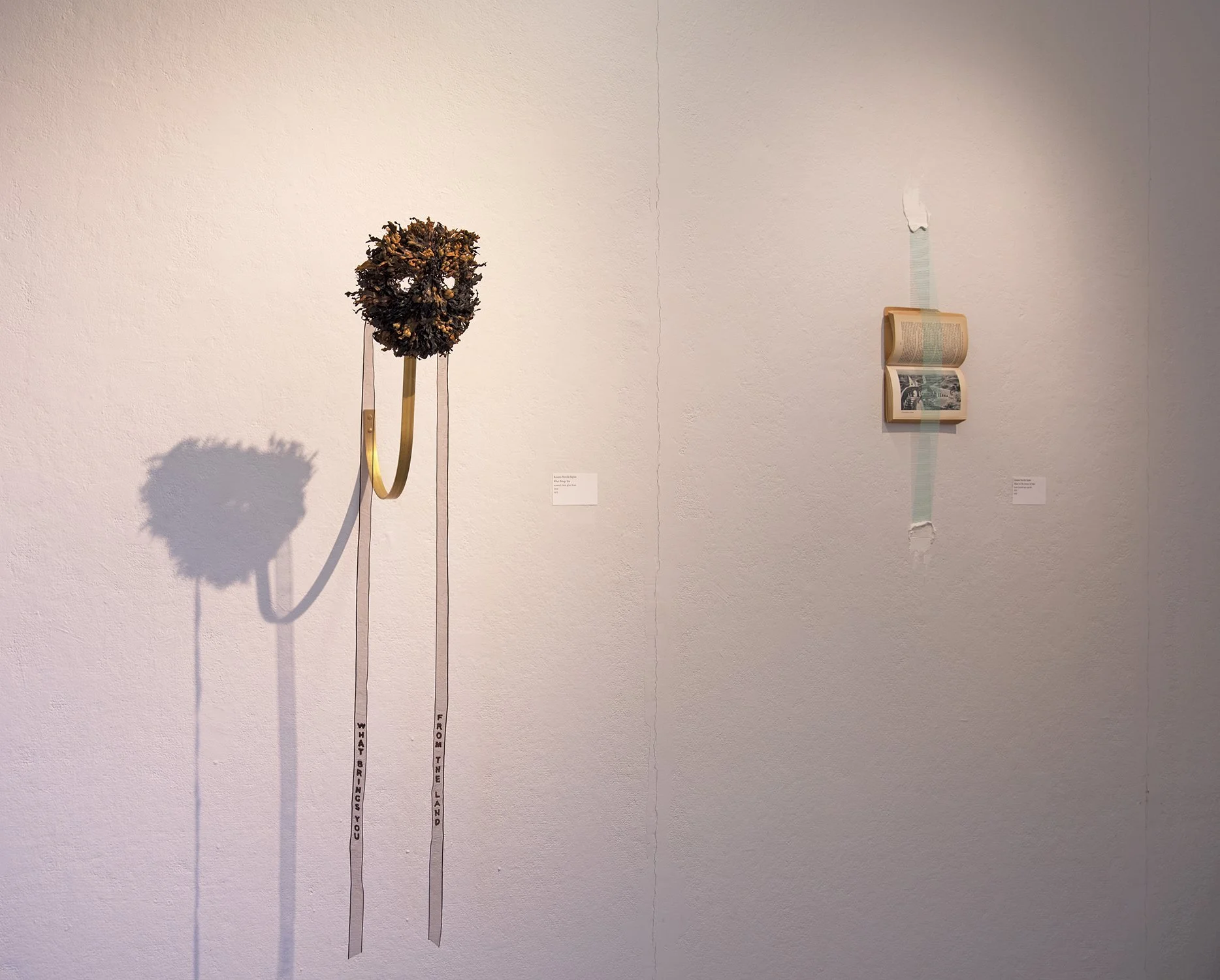 Kristin Neville Taylor "What Brings You" (left), "Water In The Service of Man" (right)