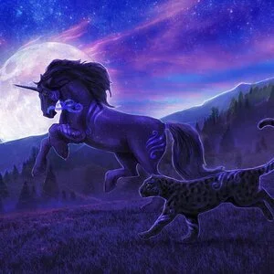 Unicorn_Commission-web-800.jpg