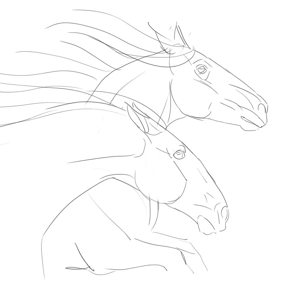 Sketch of two horse heads facing right, with flowing manes.