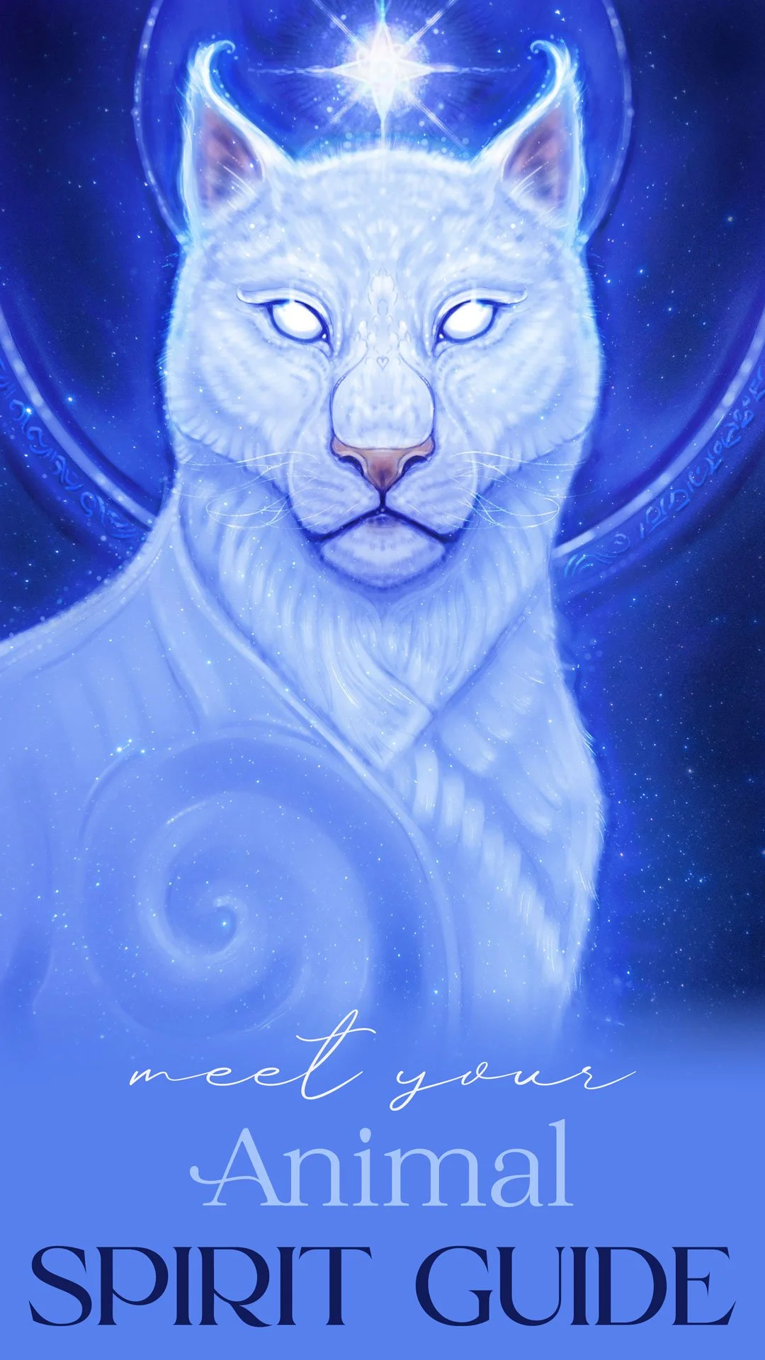 meet-animal-spirit-guide.jpg