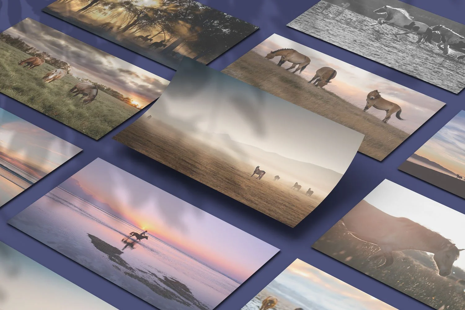 Collection of horse photographs depicting various scenes, including horses in fields, running, and a rider at sunrise, arranged on a blue background.