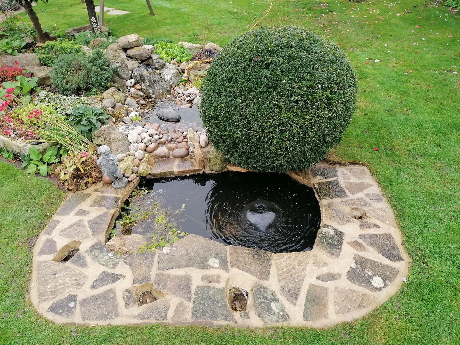 A birds eye view of a small tiled garden pond with garden plants around.