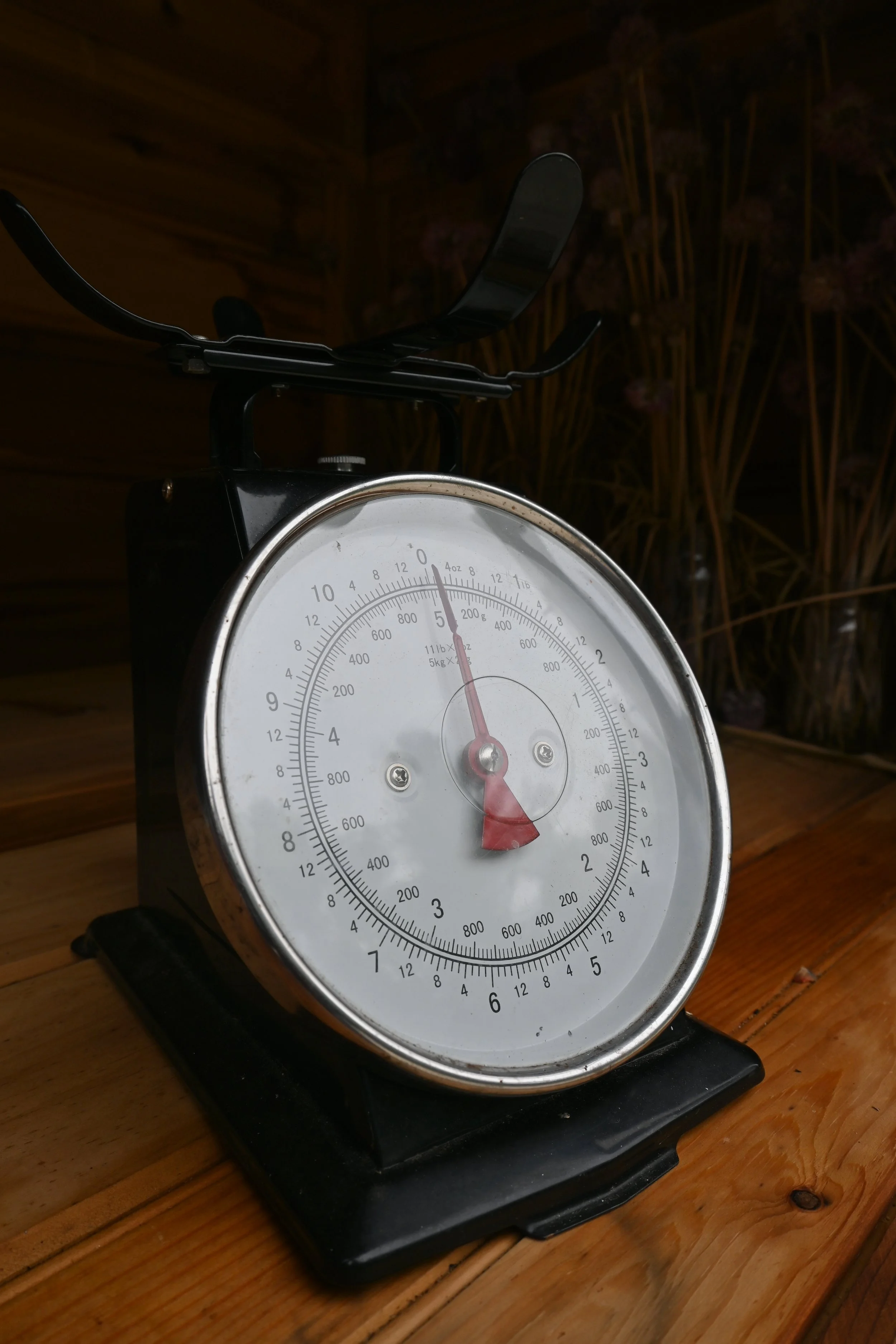DSC_0514.JPG