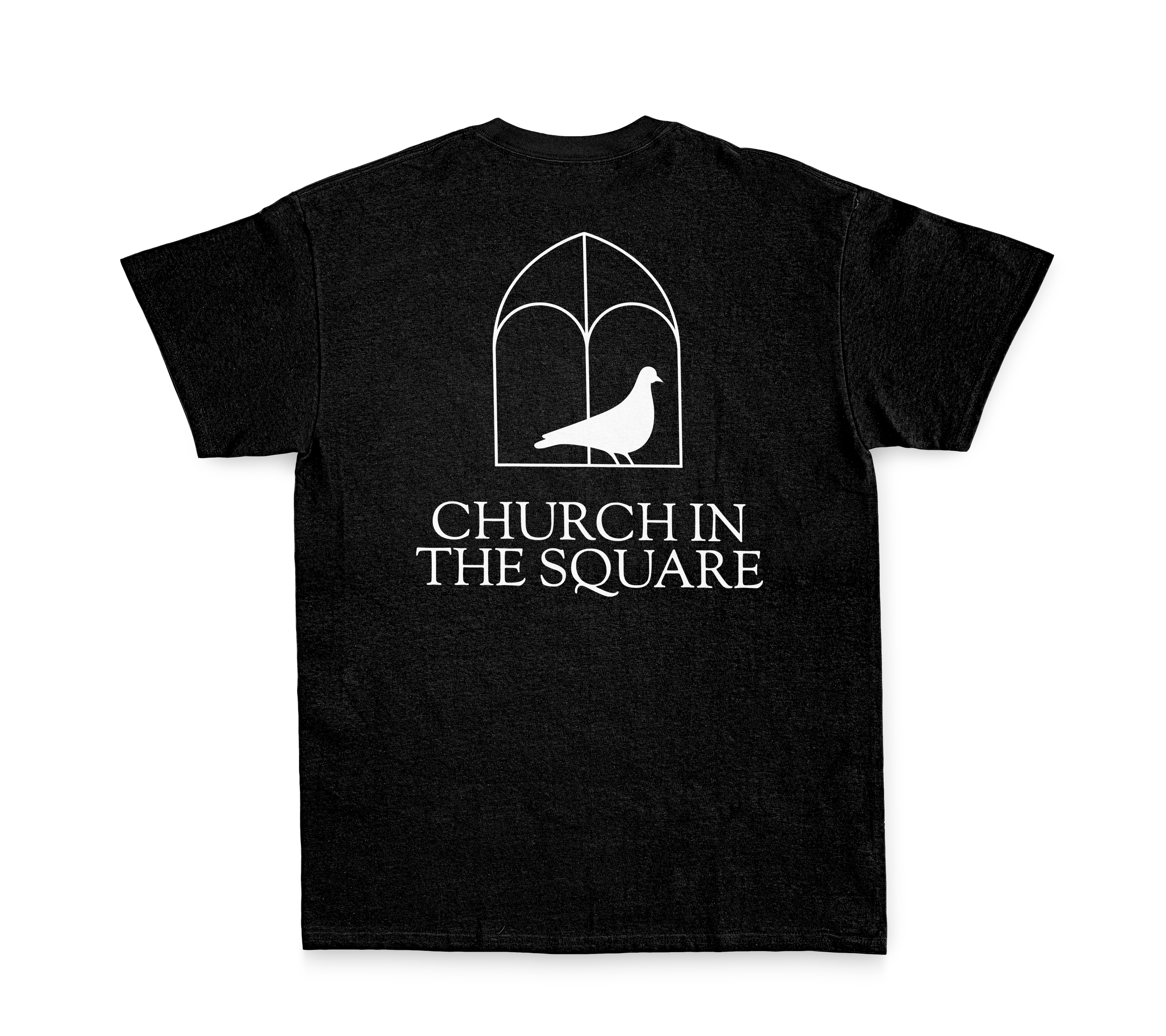 CITS_Merch_Logo-Shirt_mockup-back.png