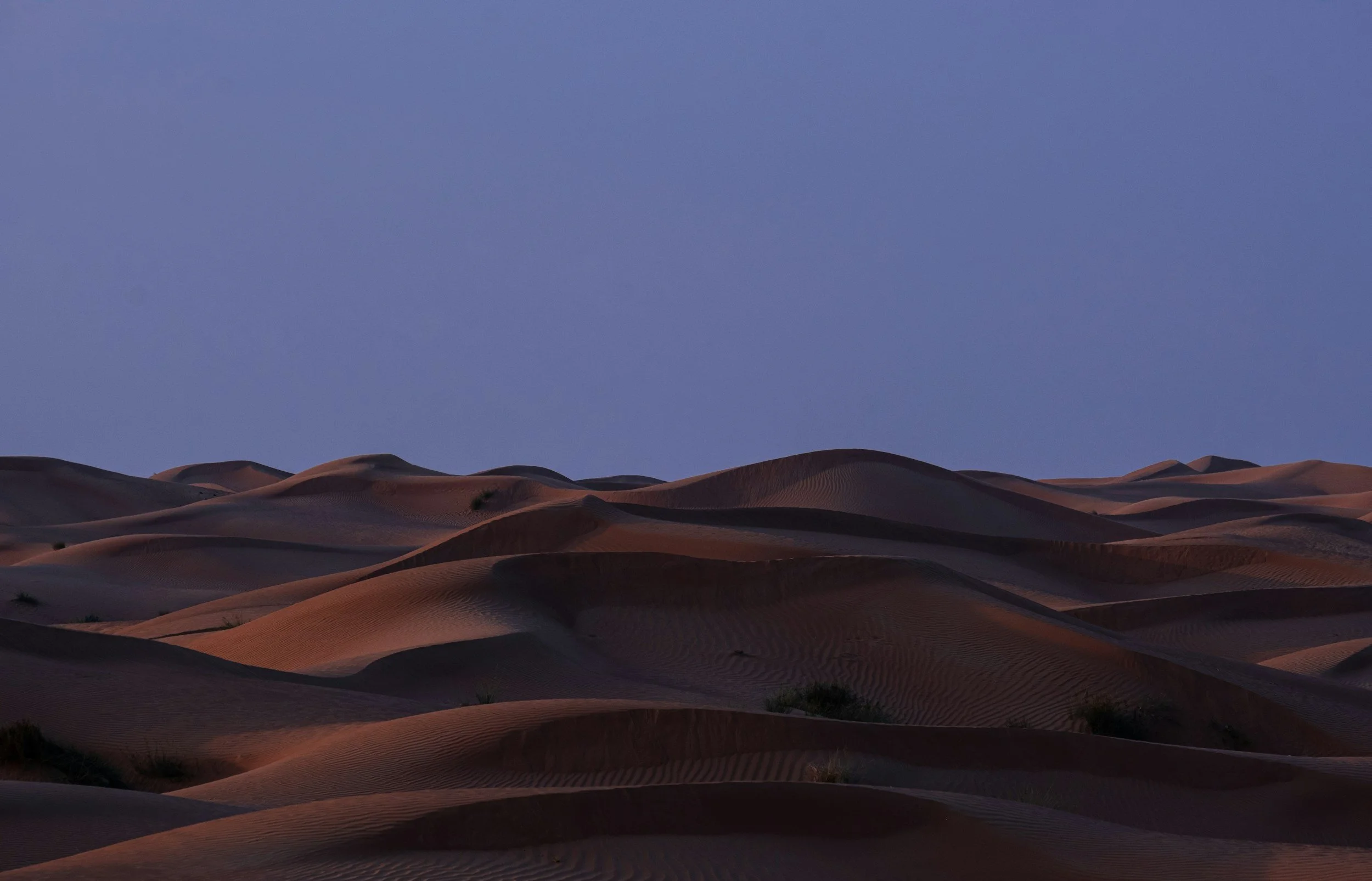 The Fall and rising of many: Nov 3rd sermon summary