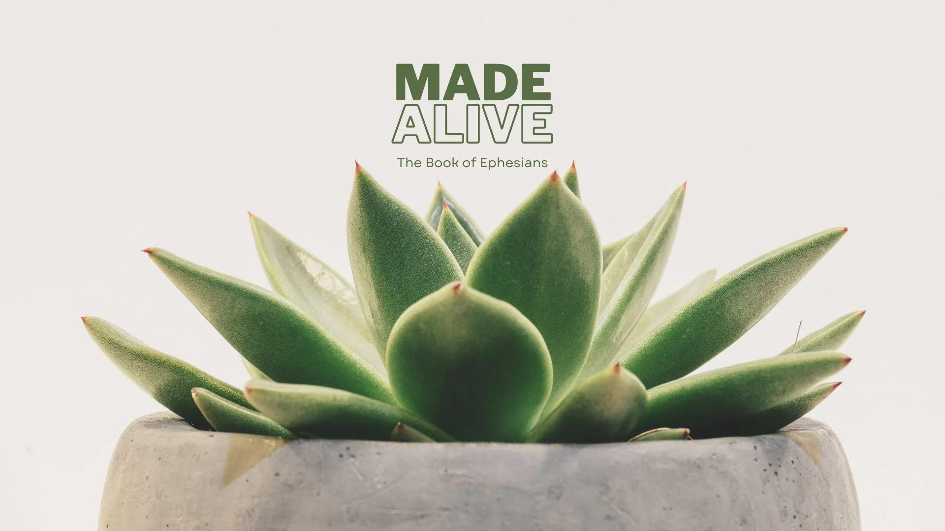 Ephesians Reading Guide Main.jpg