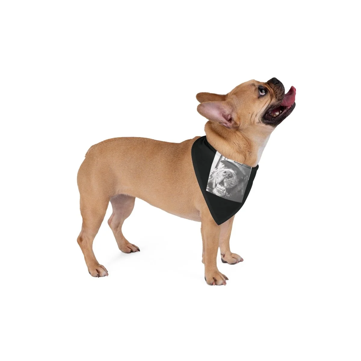 27c6769a5a337aadece6de682ab1e4d1