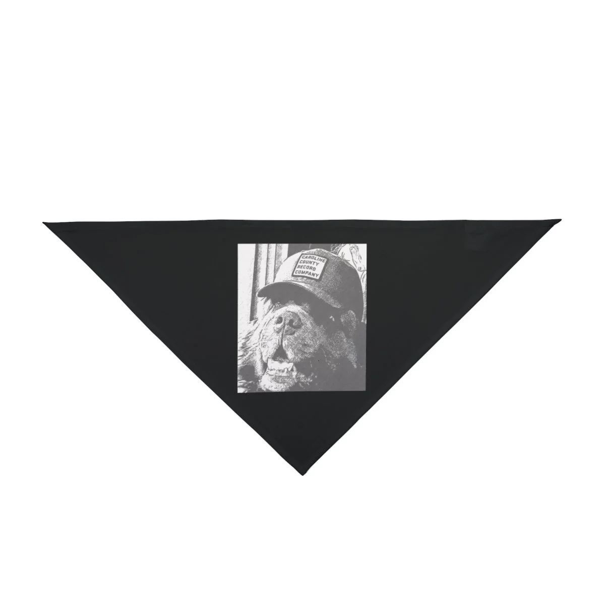 8bdb76ab7b40869b4f22ceb93d8ec4aa