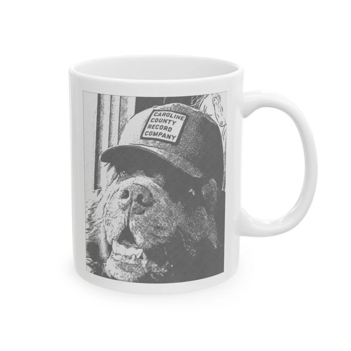 238247f2bb0947f29569f1ddc402c751