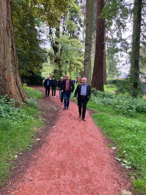 Woodland walk.jpg