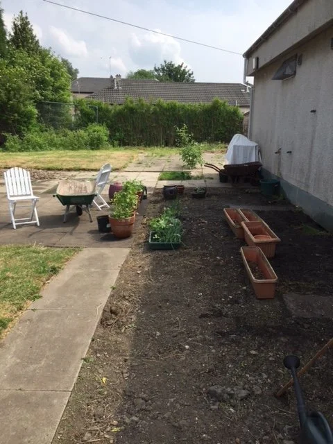 Clearing the outdoor space
