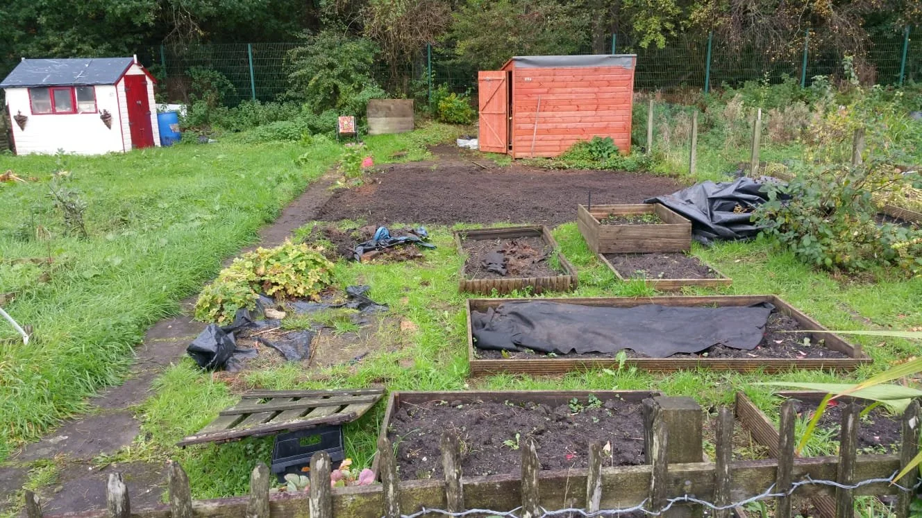 Allotment after taking it over.JPG