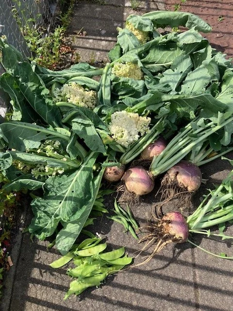 Produce from the plot 1.jpg