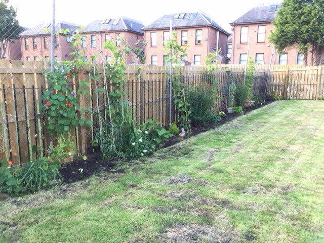 OD Garden border.JPG