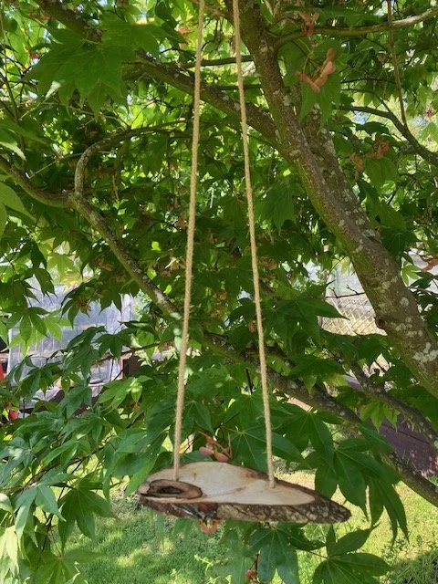 Fairy swings for Pollok Park.jpg