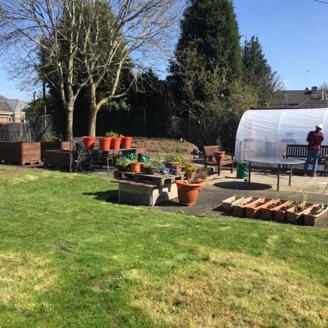 View of polytunnel.JPG