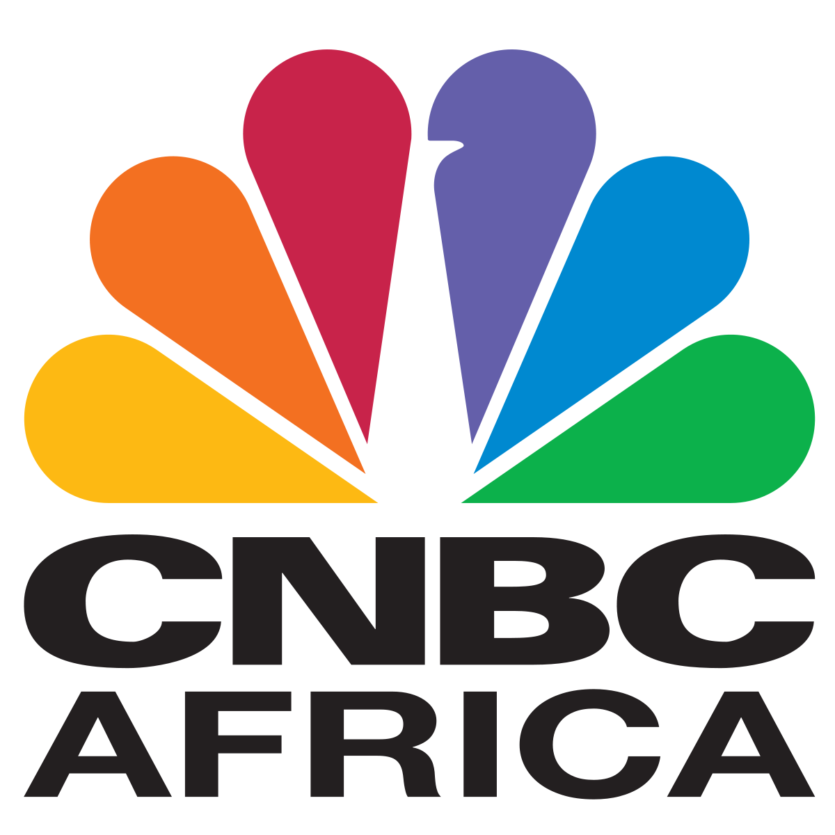 1200px-CNBC_Africa.svg.png