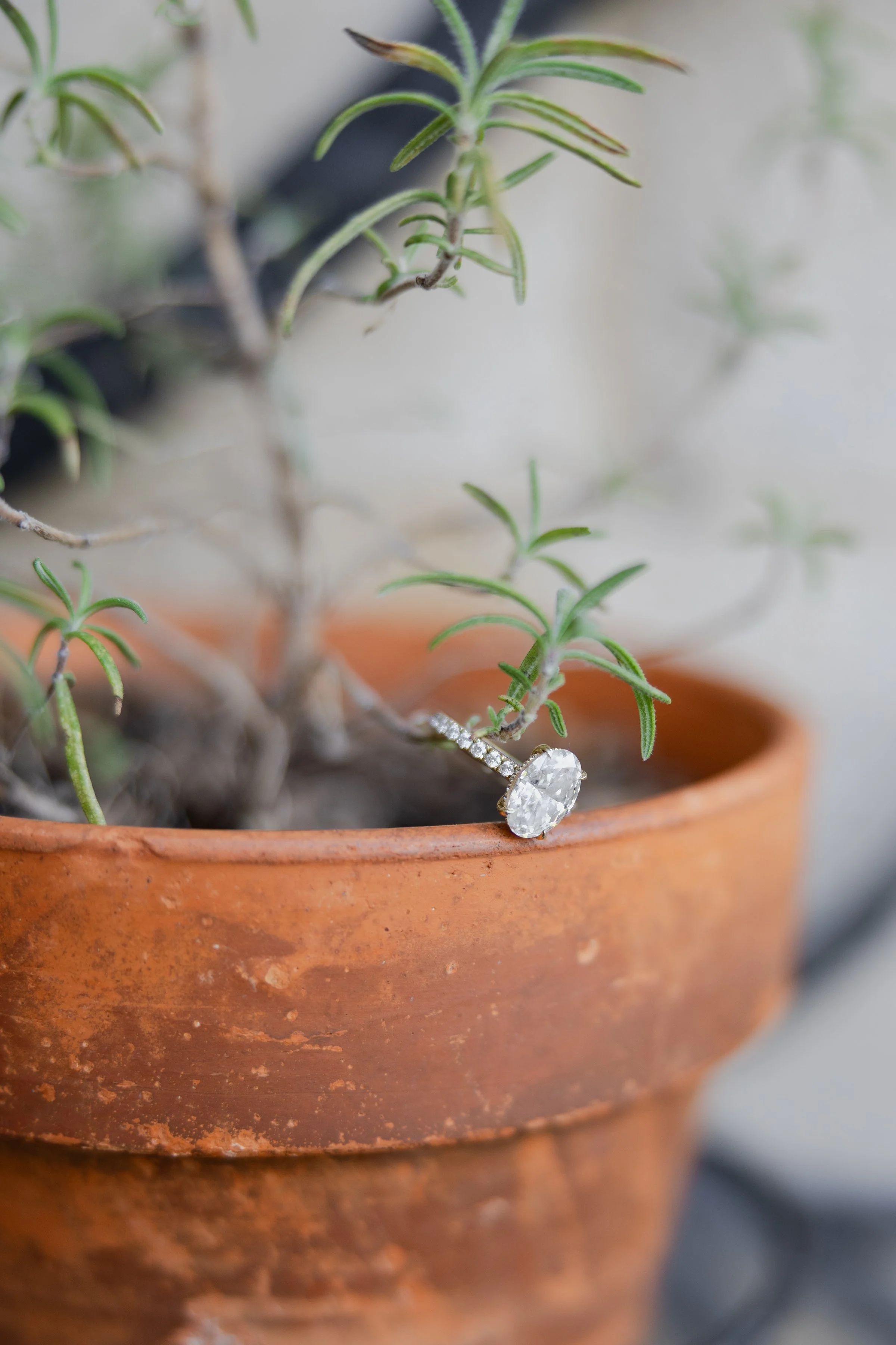 abby.jimmy.engagement-28.jpg