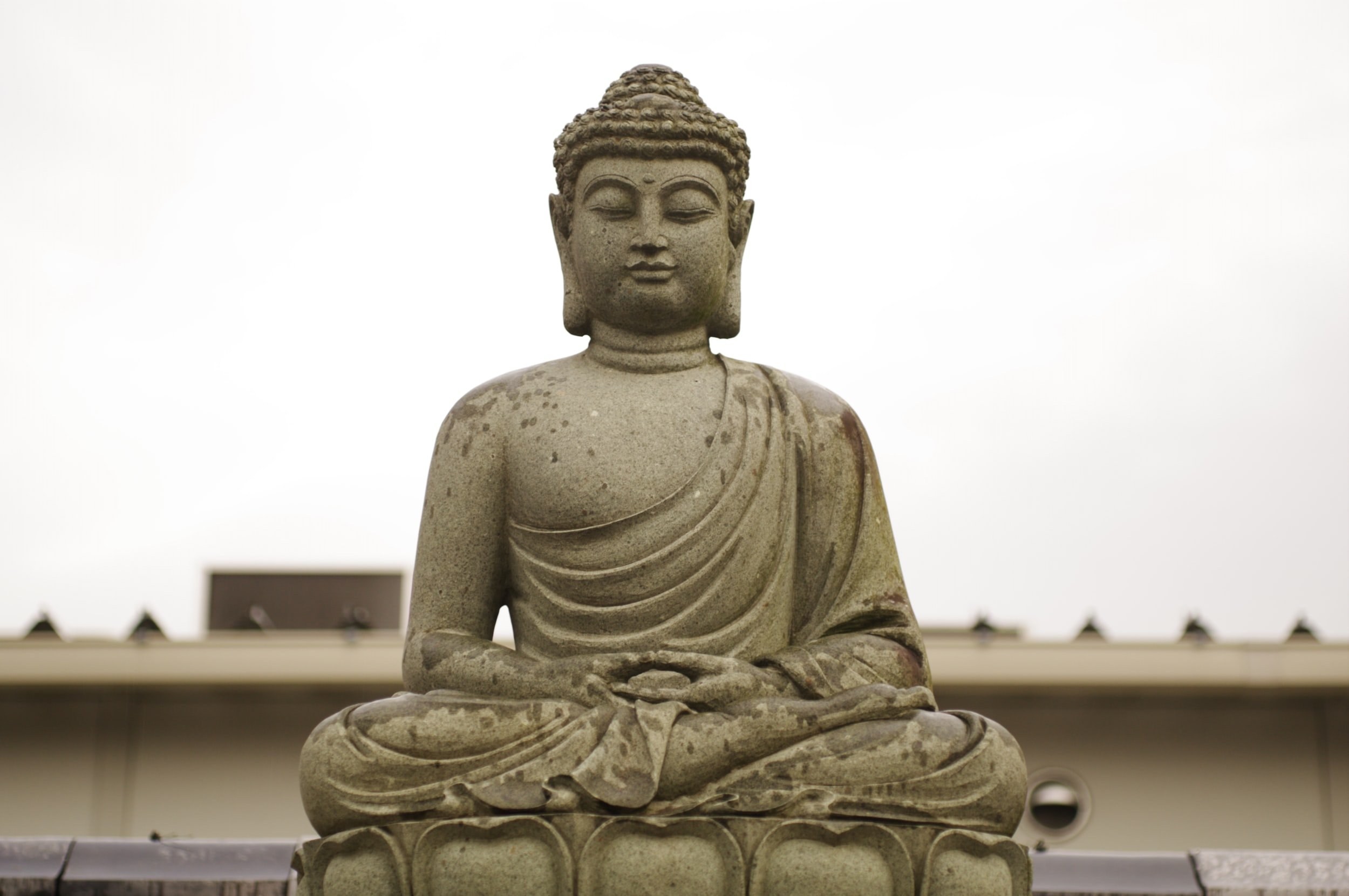 A Glimpse of Truth: Satori
