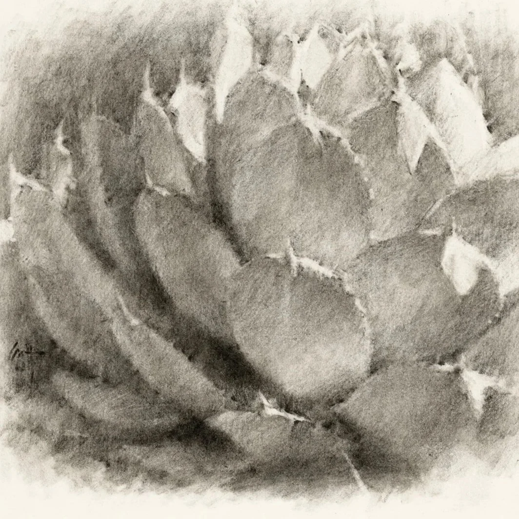 succulent+charcoal.jpg