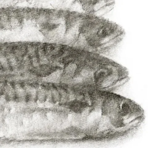 seafood%2Bmarket.jpg