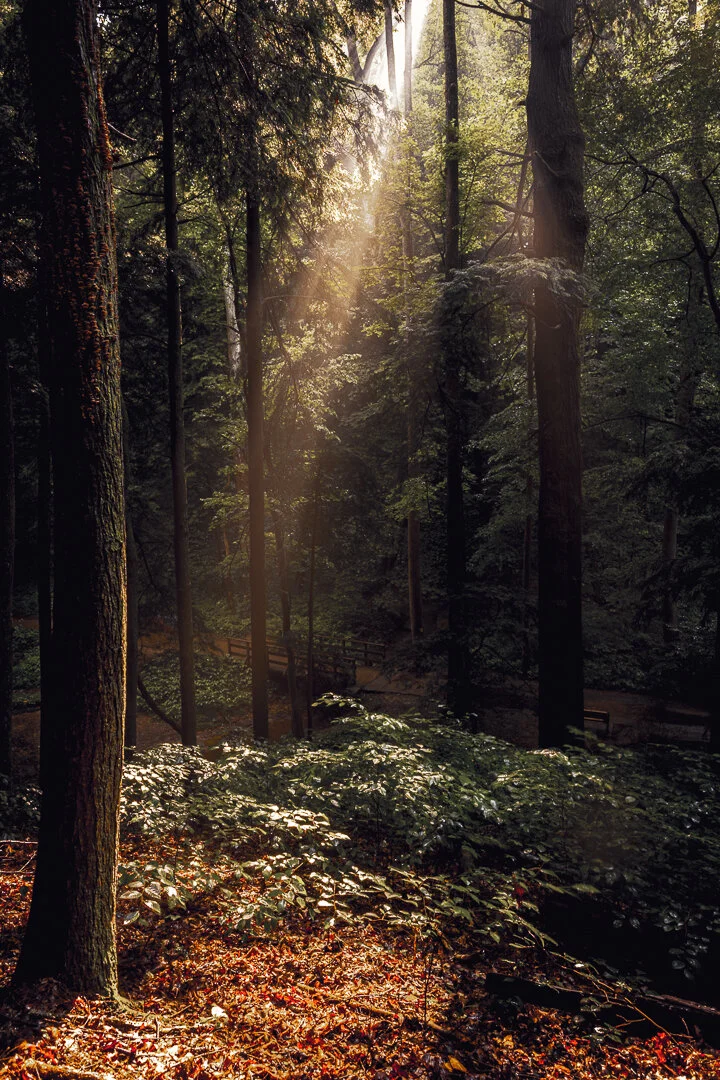 Sun Beams - Hocking Hills State Park