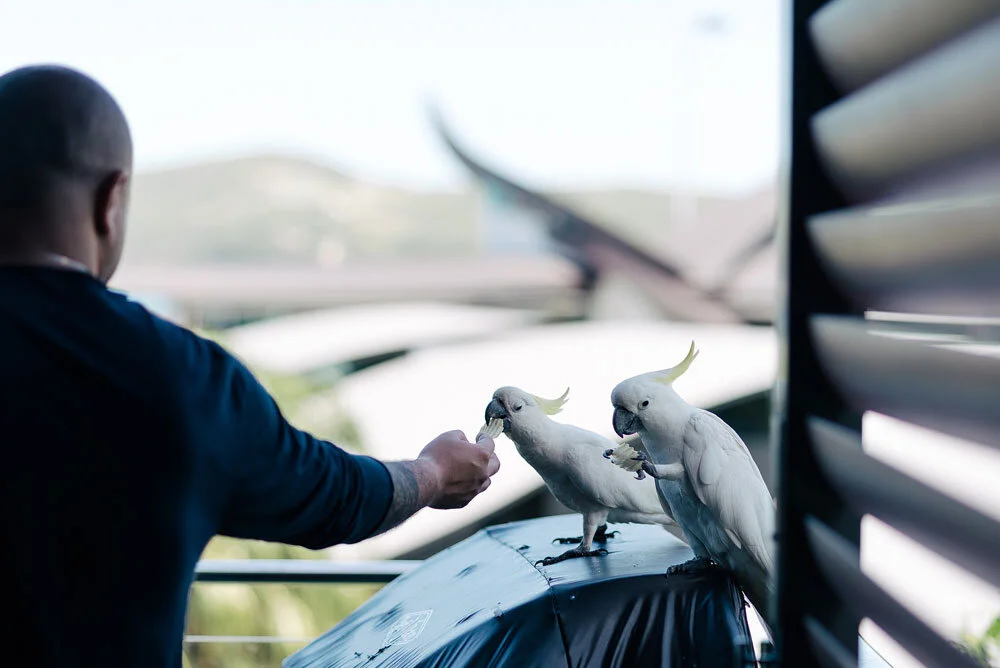 K+R-Tropical-hamilton-island-wedding-australia-43.jpg