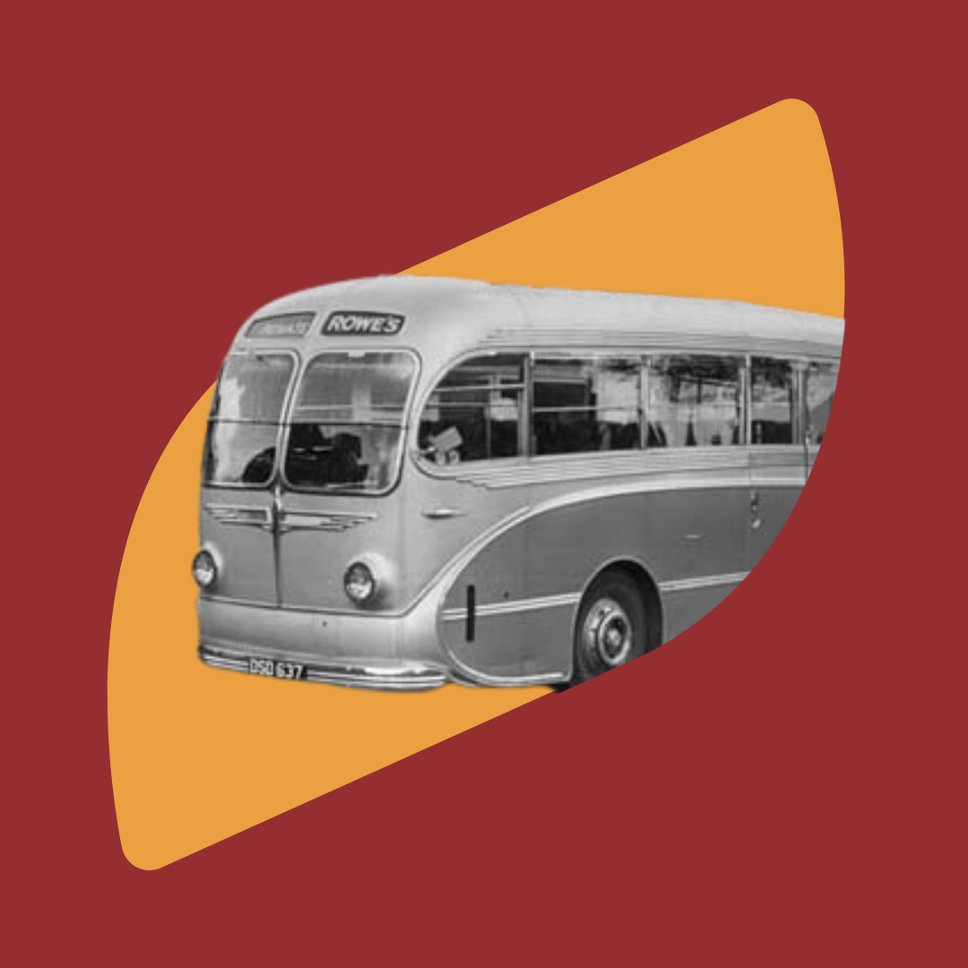 Freedom Lifted Hosts 8th Grade Class Trips for San Francisco School