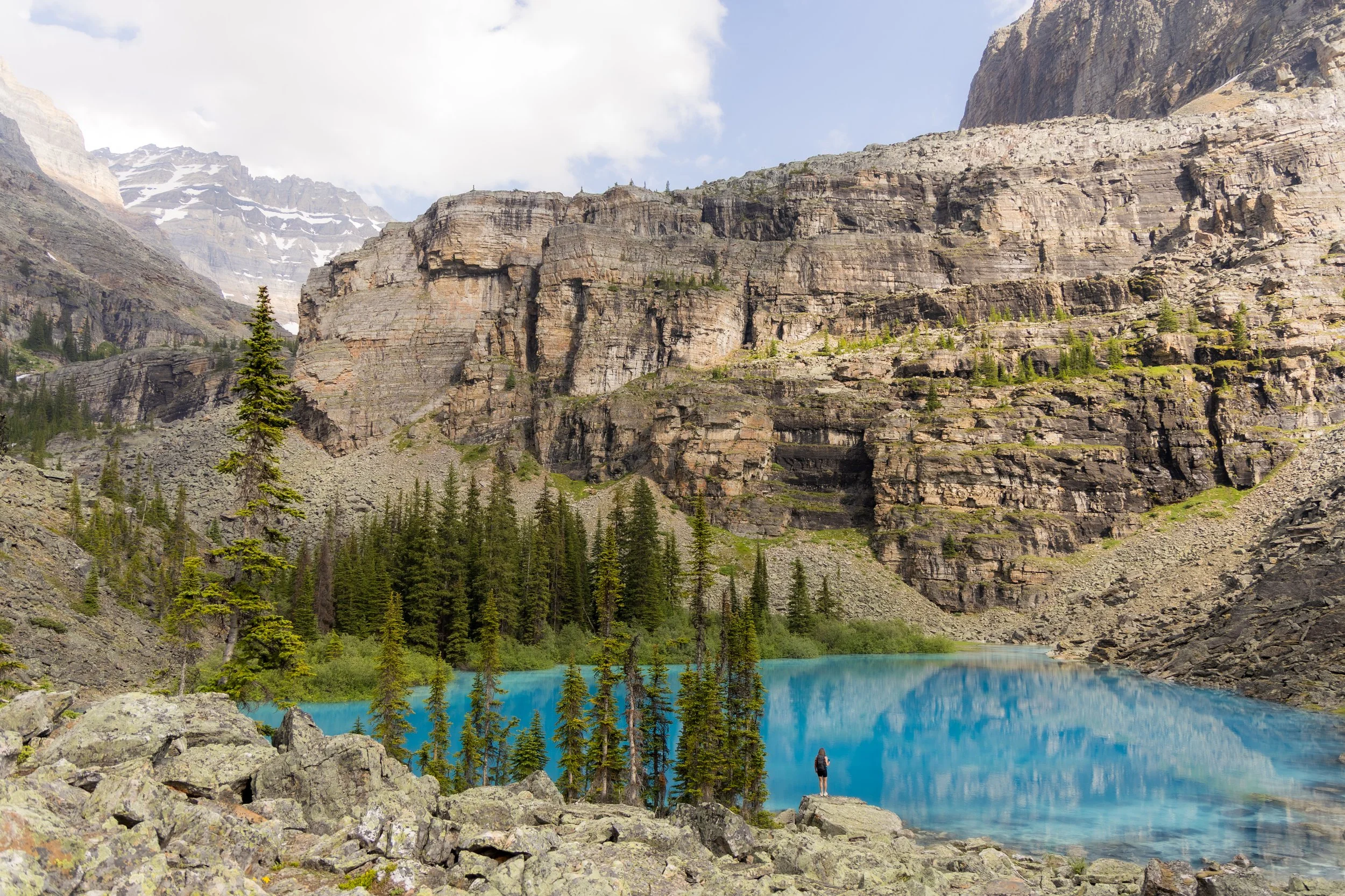 Alifieldphotography-6564.jpg