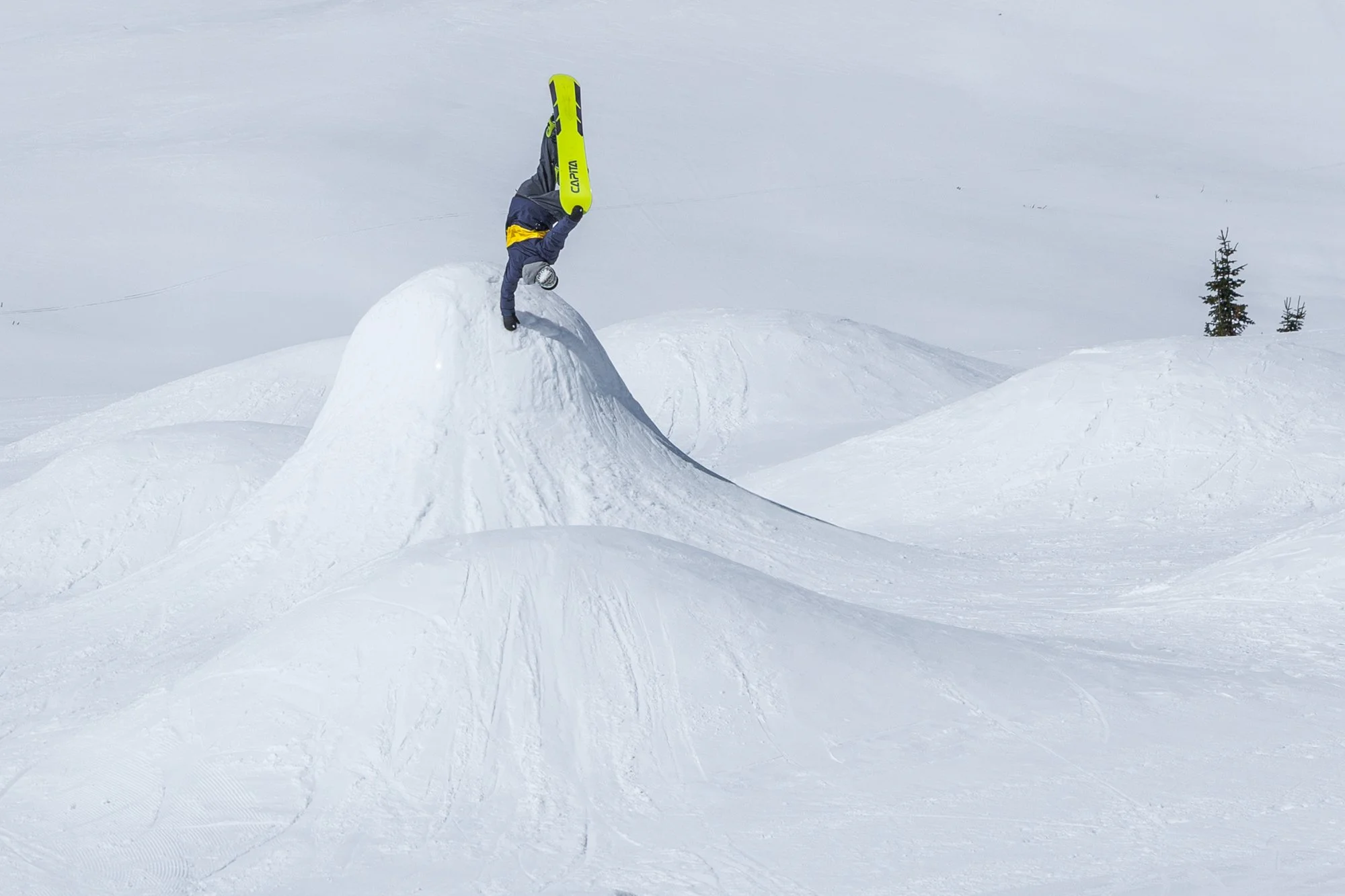 @truenorthali-90115-Jon Chew.jpg