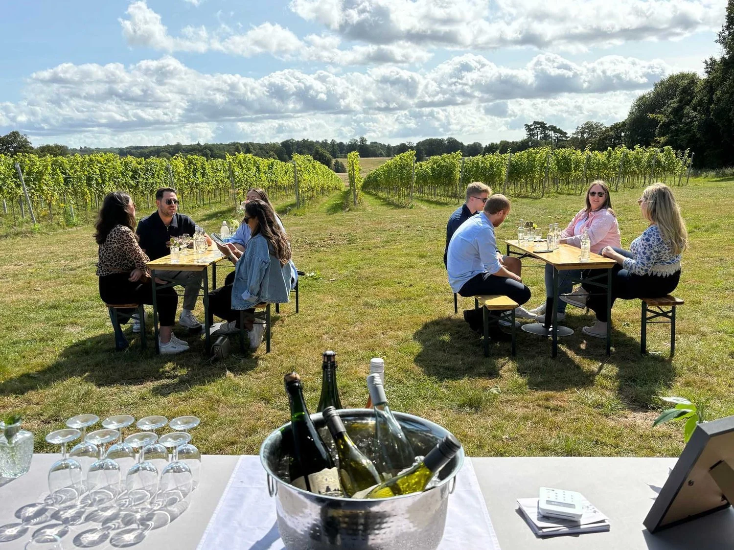 People sitting at tables outdoors in a vineyard, with a view of grapevines and a partly cloudy sky.