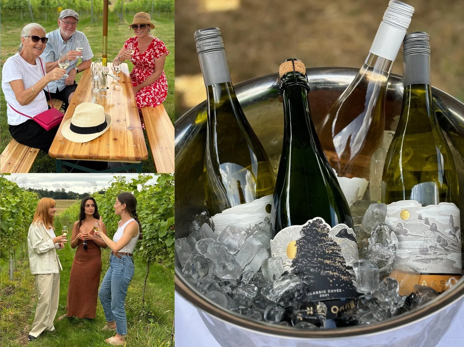 Three women and one man enjoying wine outdoors at a picnic table, another three women standing in a vineyard holding glasses of wine, and a bucket of white wine bottles chilling on ice.