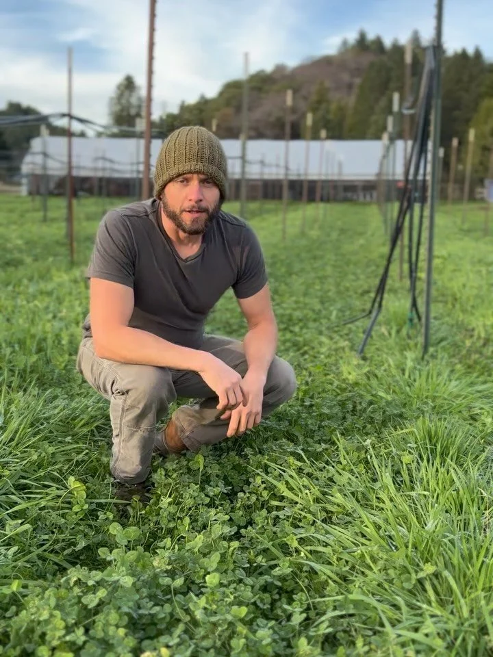 We are stoked to share how our living path project came out! 
This farm site was completely overrun with weeds and grass in 2023 after being fallowed for a couple seasons. 
We covered the entire area with old dep tarps to terminate the grass and then