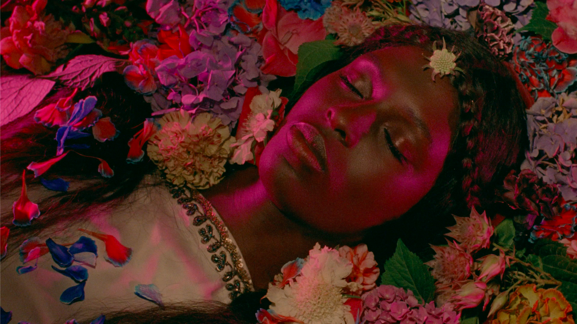 Floria Sigismondi — Scheme Engine