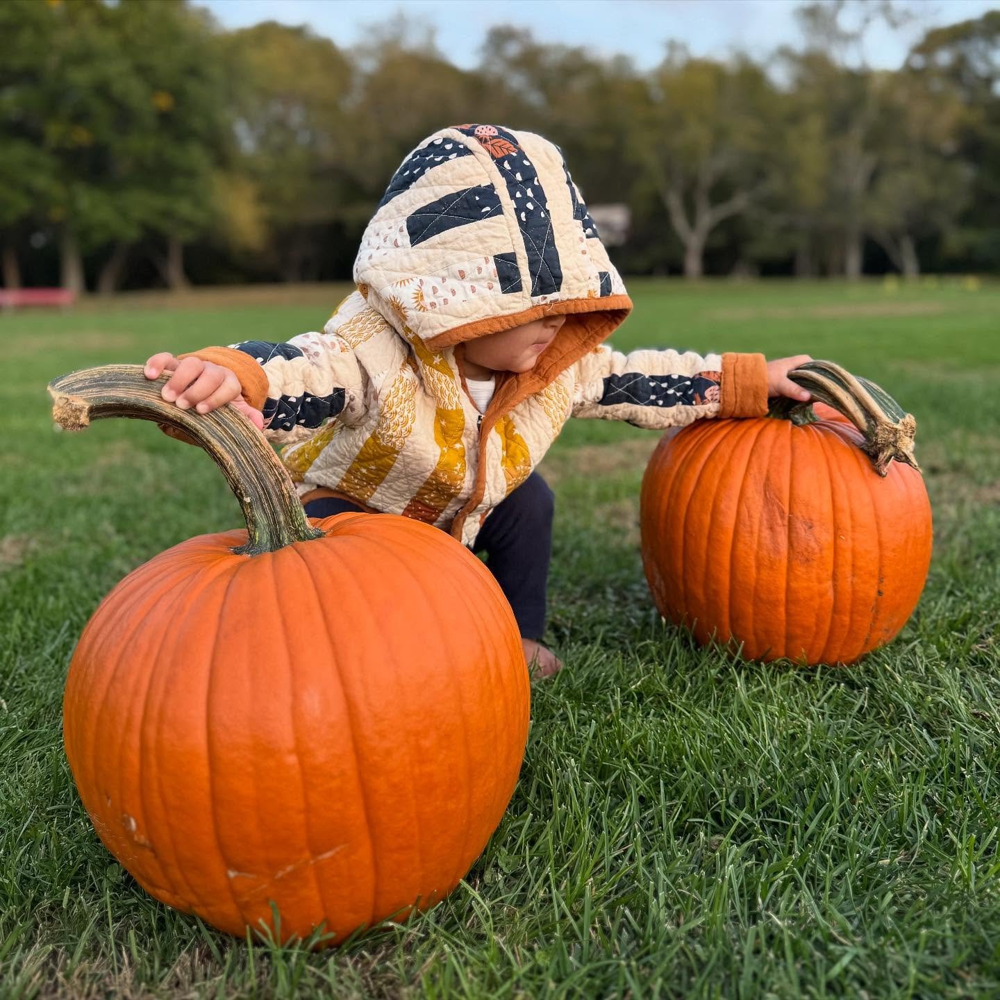 This adorable quilt coat I made for my niece over a year ago lives on! Perfect season for it to fit the newest baby. 

@northpatterns quilted coat

#quiltcoat #quiltedclothing