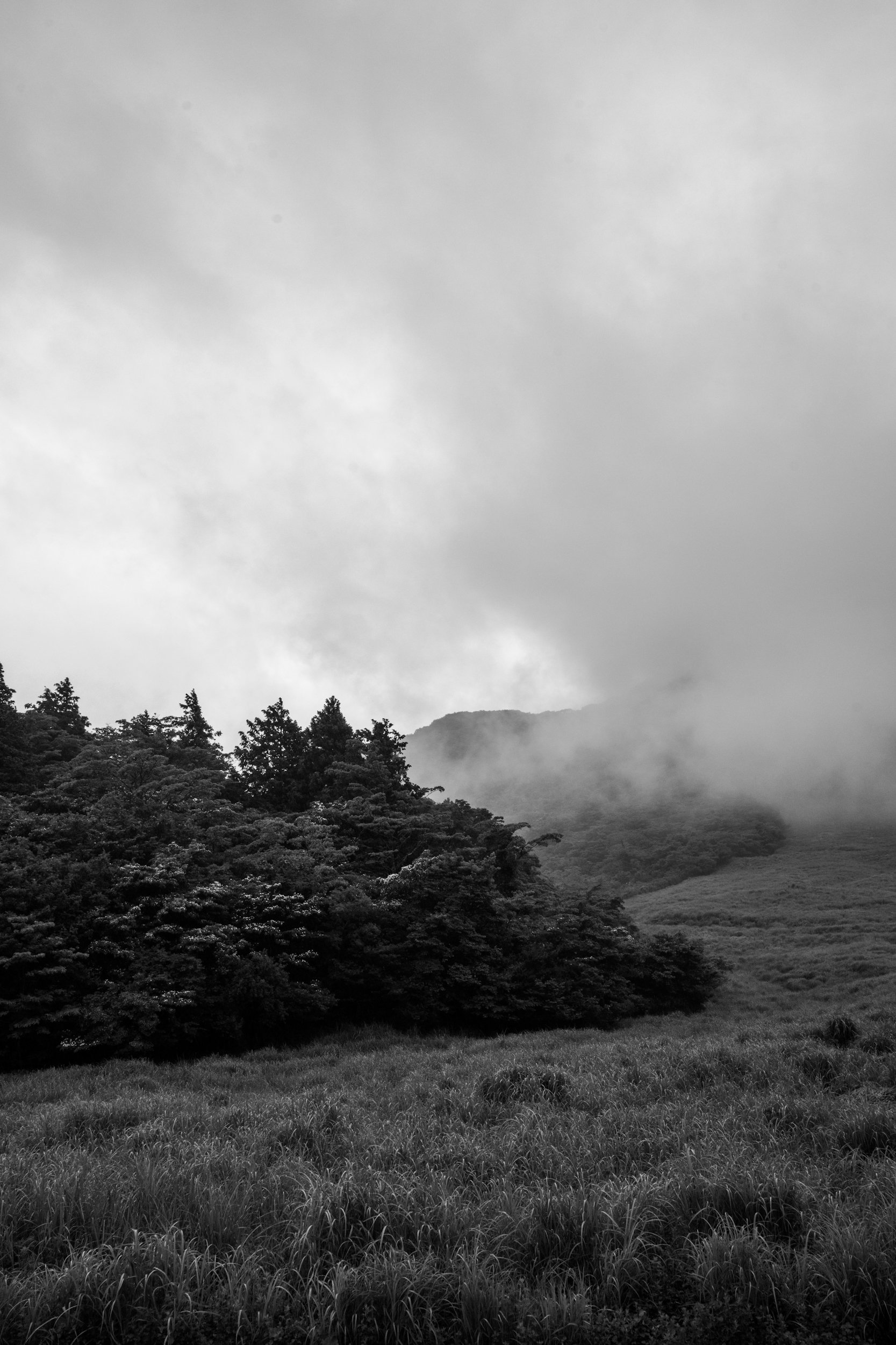 DSC_3502.jpeg