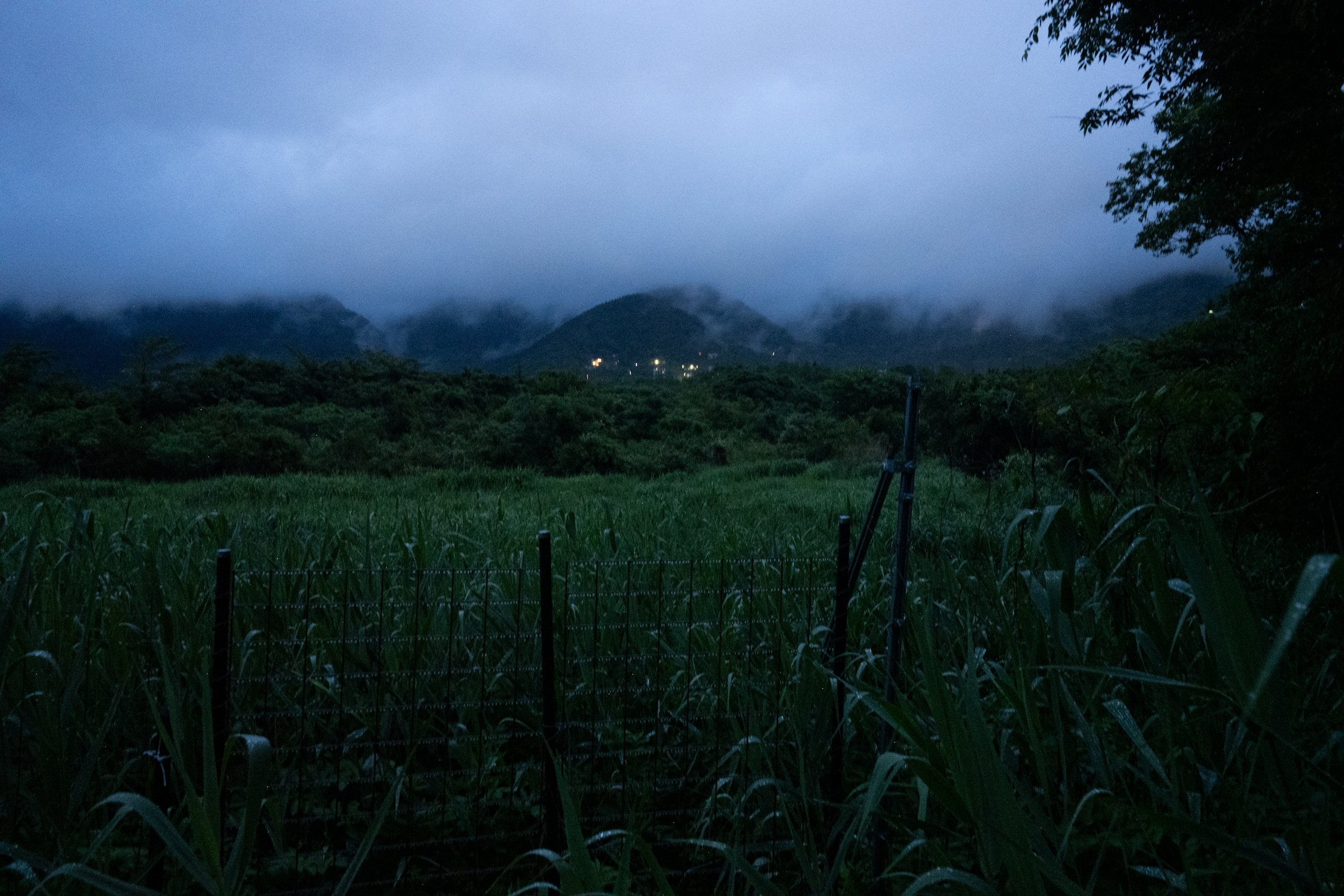 DSC_3506.jpeg