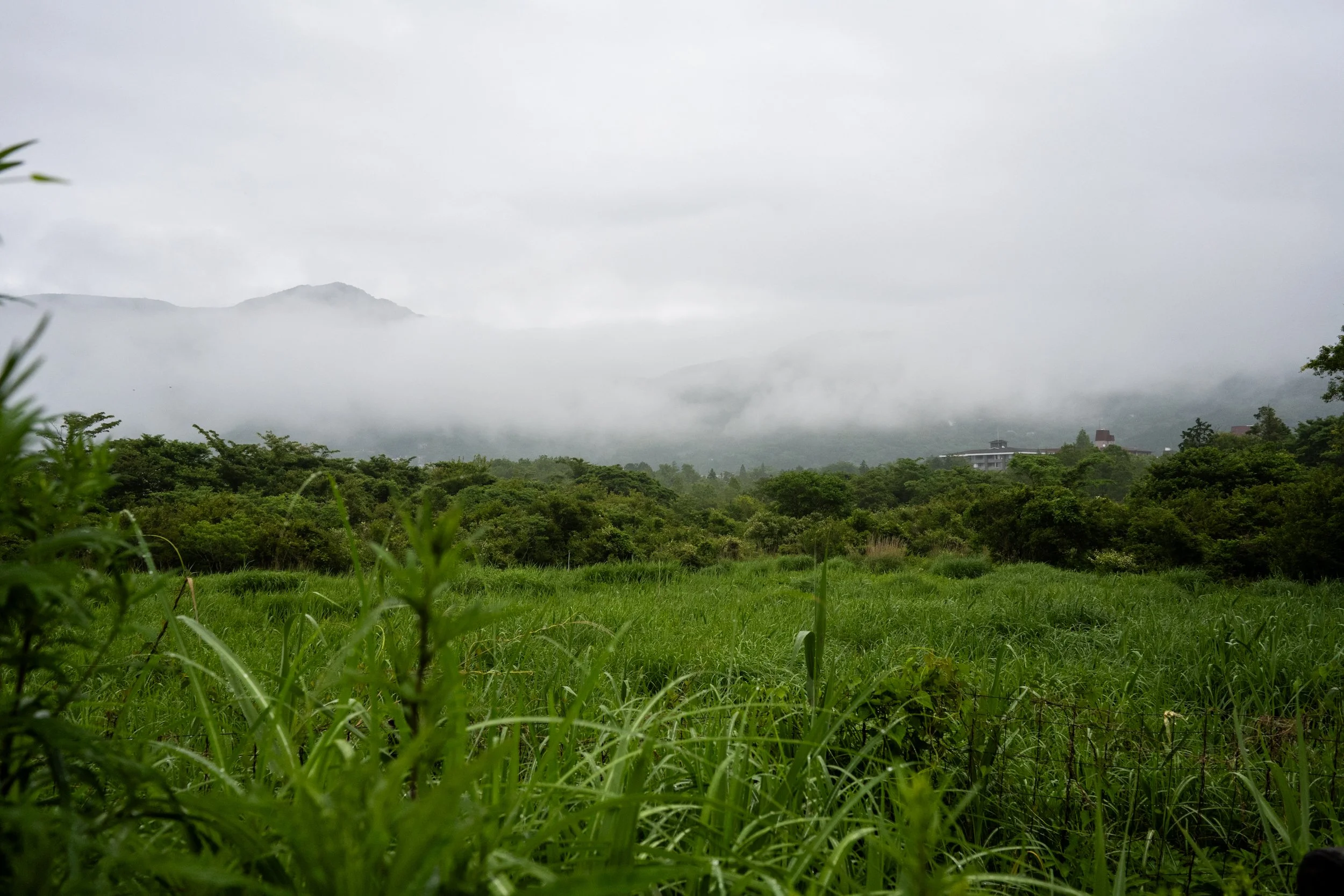 DSC_3519.jpeg