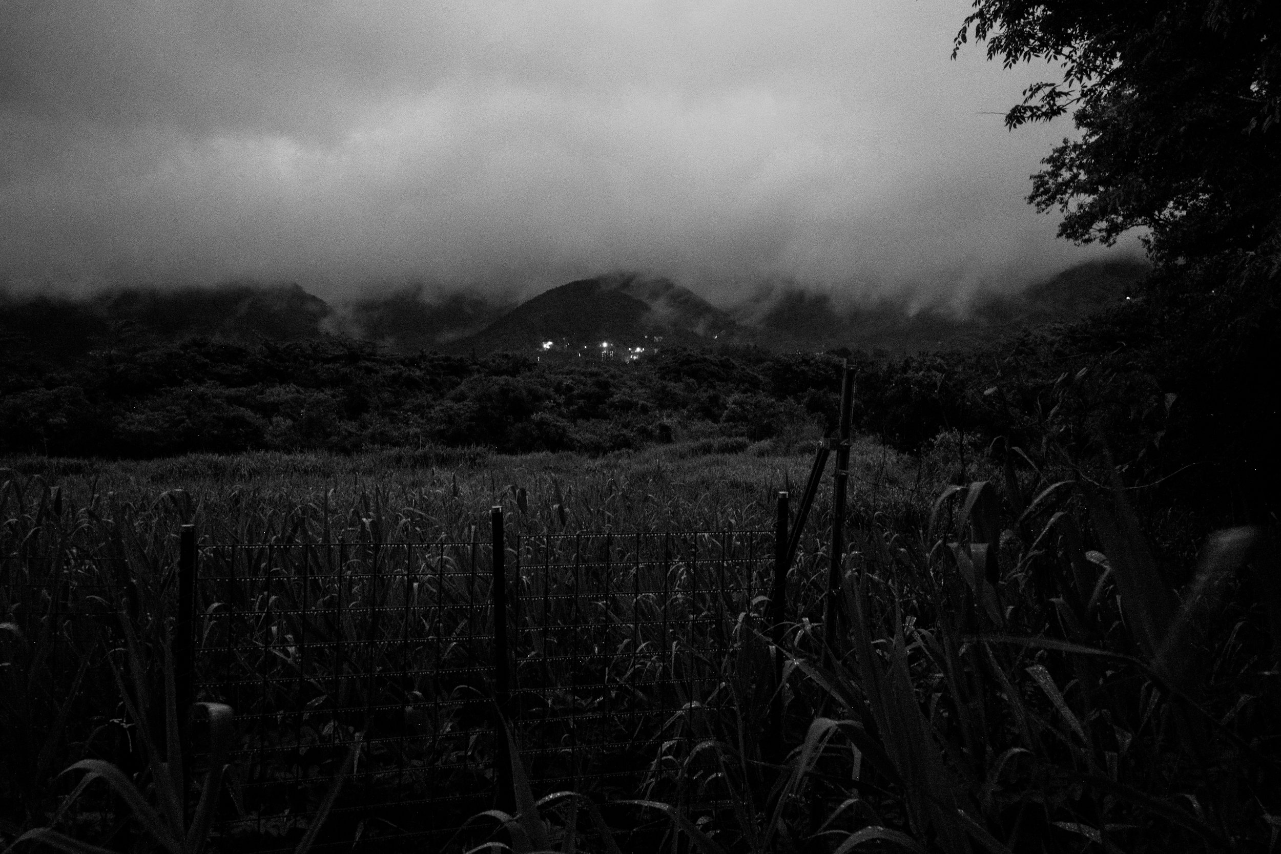 DSC_3508.jpeg