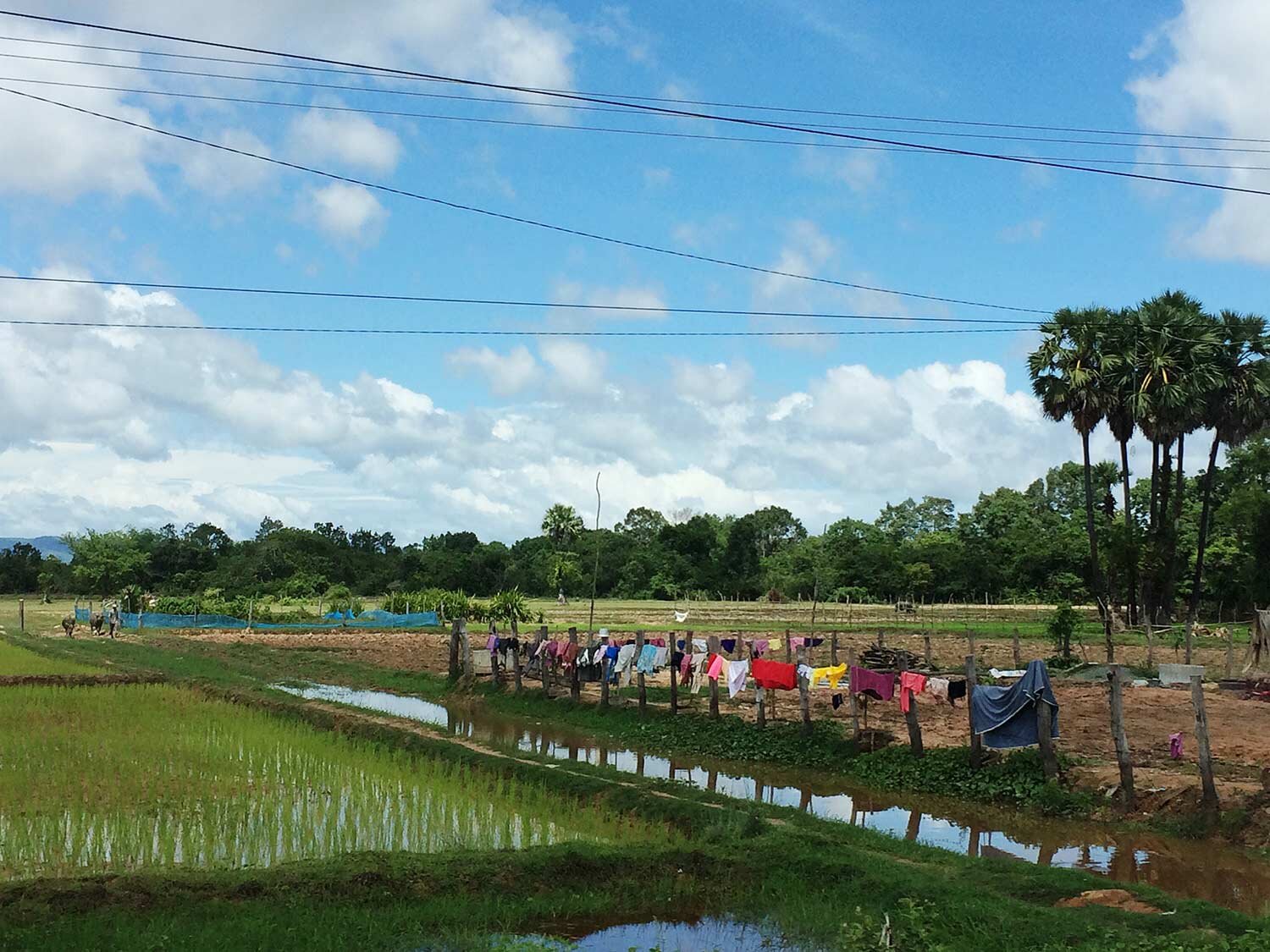 Clothesline-Cambodia.jpg