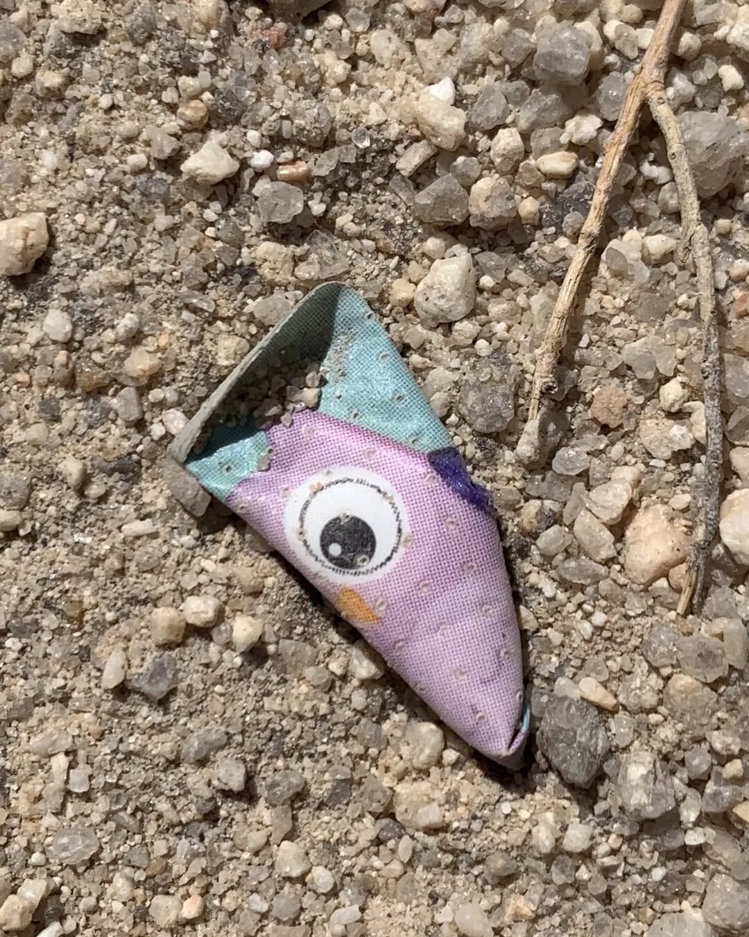 Plastic eyeball in the desert. #plasticpollution #plasticplanet #anthropocene