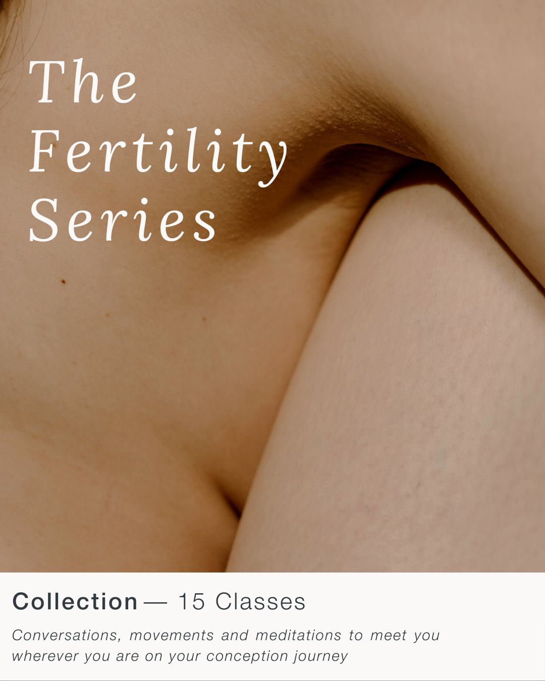 Copy of TEMPLATE Gift Guide Story-4.png