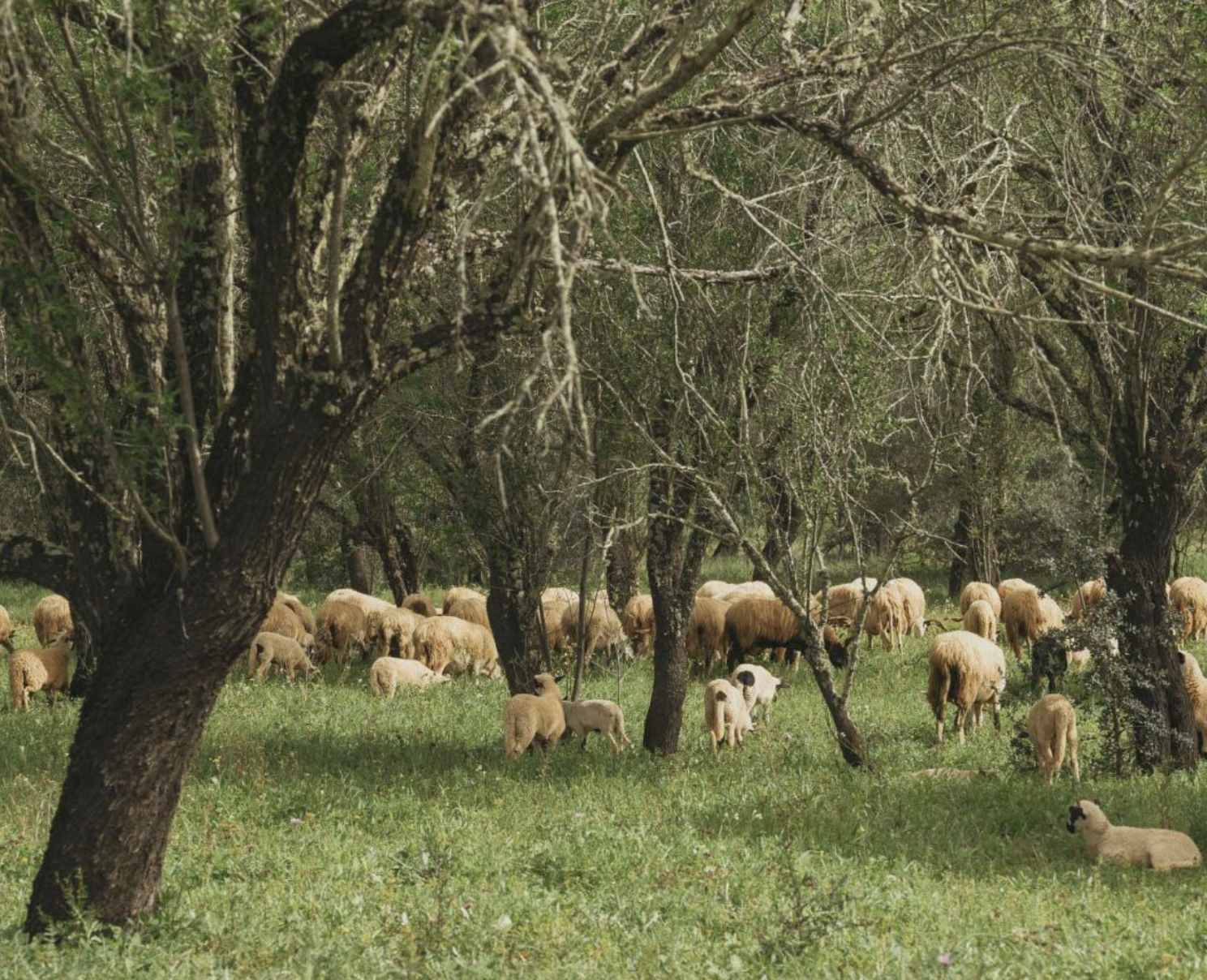 Screenshot 2026-04-15 at 2.37.25 PM.png