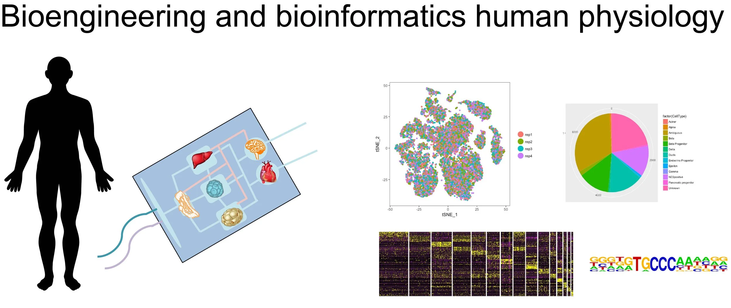 RESEARCH — Yoshihara Lab at The Lundquist Institute/UCLA