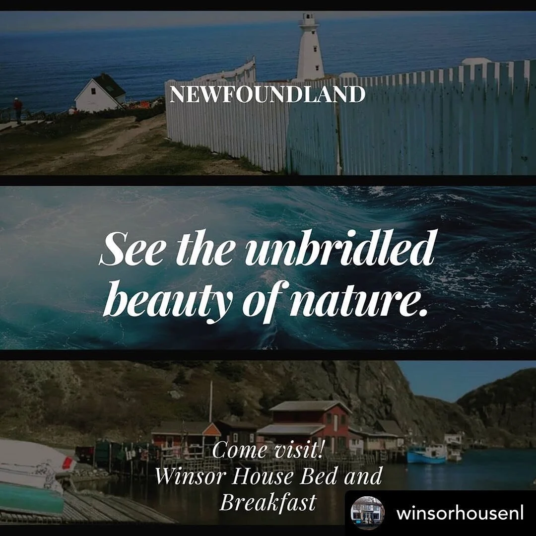 Four Winds Design Newfoundland  Design & Development