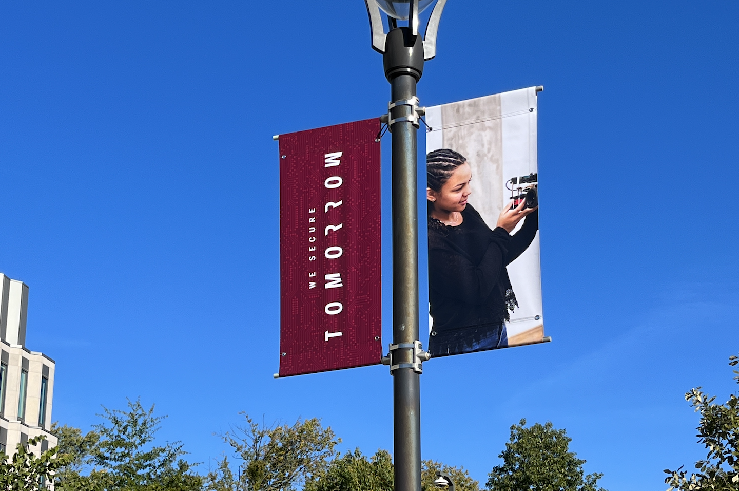Luddy Pole Banners