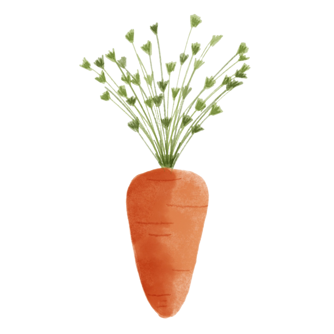 Carrot1.png